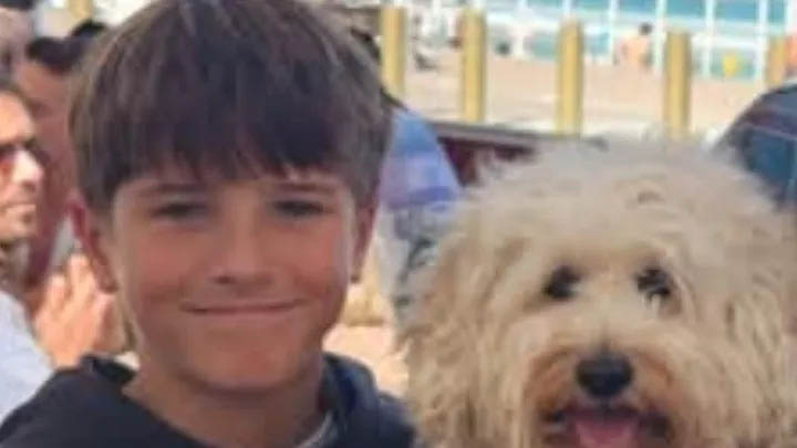 Sydney Harbour Shark Attack: Family of 12-Year-Old Nico Antic Faces Uncertain Days Ahead Nico Antic
