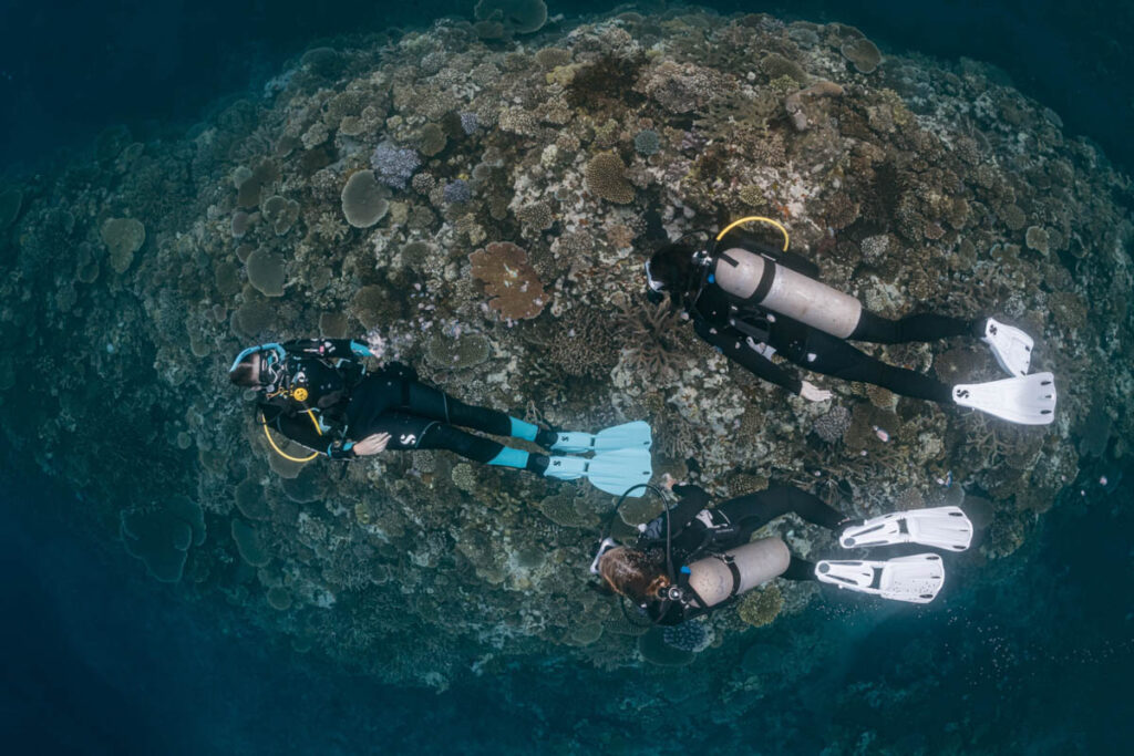 PADI 60th Celebration