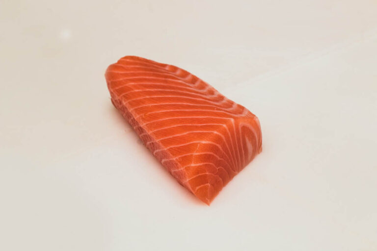 Salmon