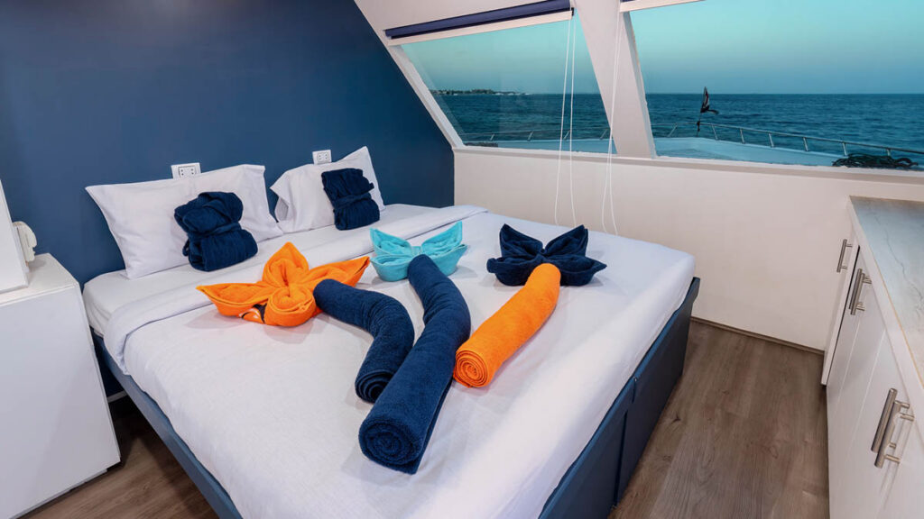 Dune Titan Liveaboard, Red Sea, Egypt