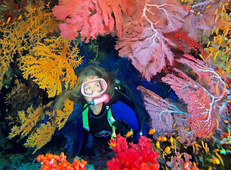 Seasave Auction 2026