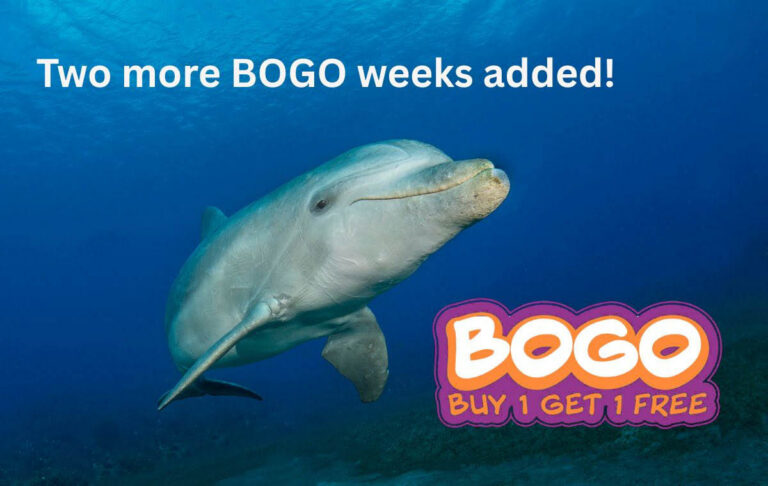 Explorer Ventures BOGO