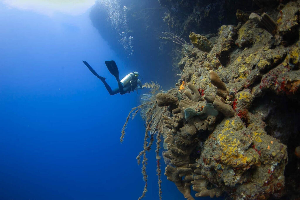 Explorer Ventures BOGO Offer