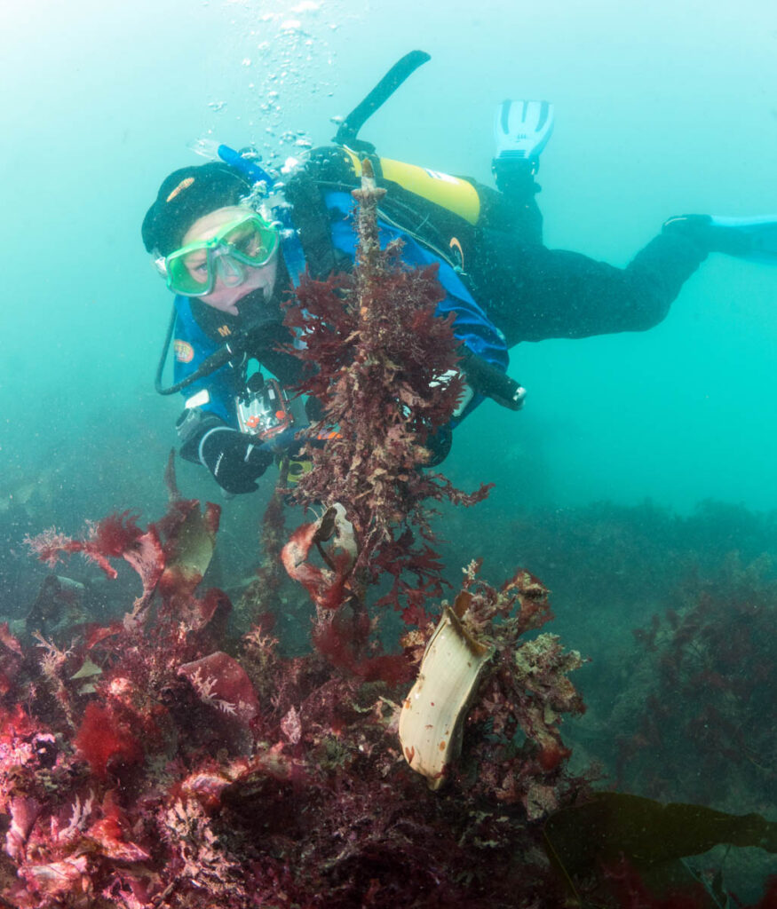 Shark Trust BSAC Partnership