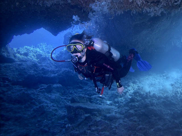 Maui Dive Guide App Launch: A Local’s Passion Project That Unlocks Over 50 Shore Dives Diver Underwater Hawaii