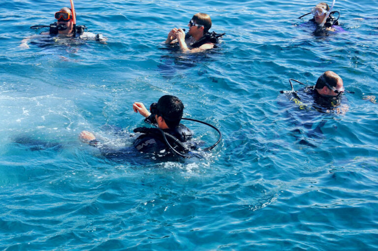 Divers on Surface