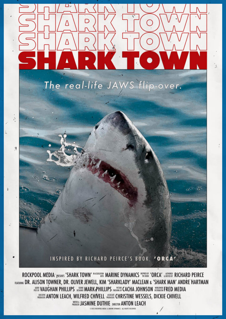Shark Town