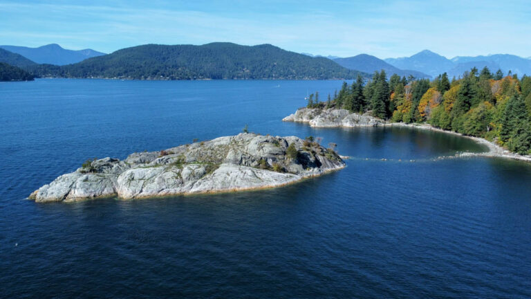 Diver Dies at One of British Columbia’s Most Famous Dive Sites Whytecliffe Park