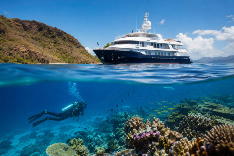 How to Choose the Right Liveaboard: The Complete Diver’s Guide to Booking the Perfect Trip Choosing a Liveaboard
