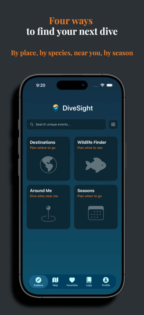 DiveSight