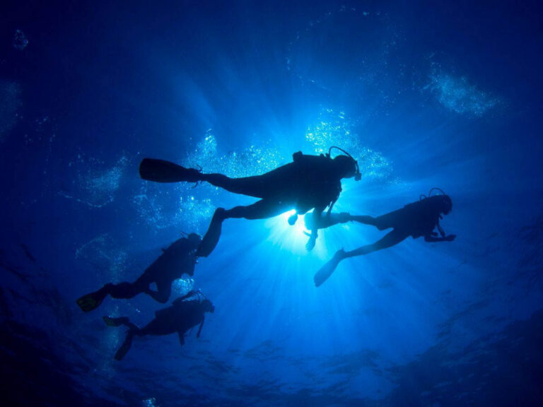 Divers Underwater