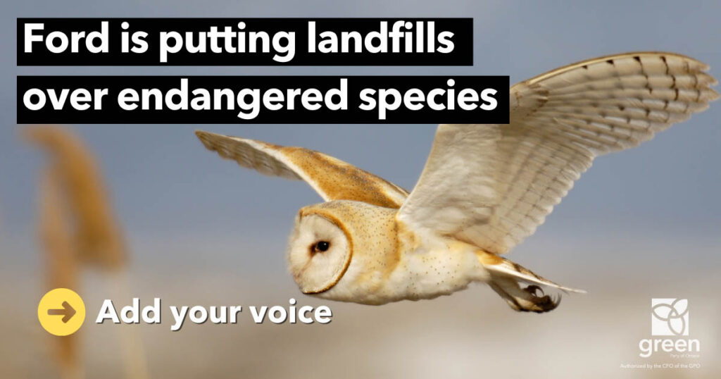 Ontario Wildlife