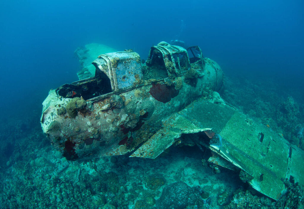 Sea to Sky Experiences