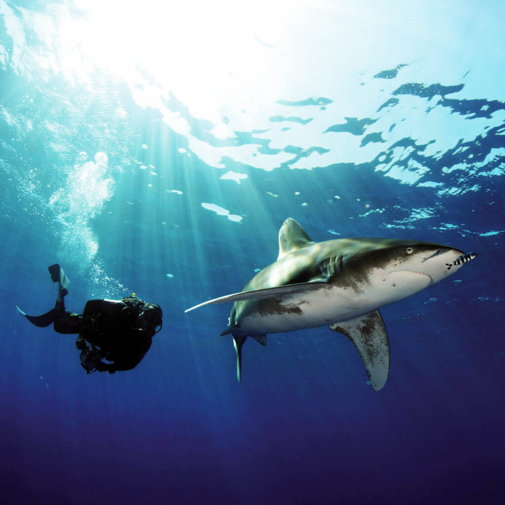 Sea to Sky Experiences