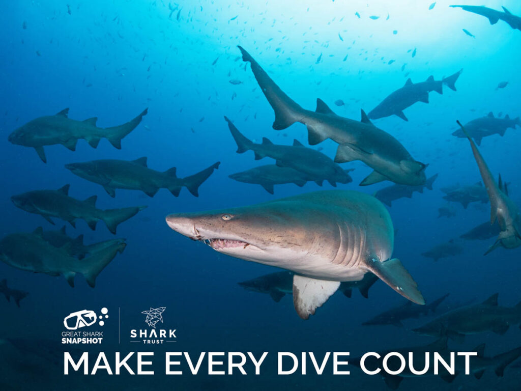 Shark Trust