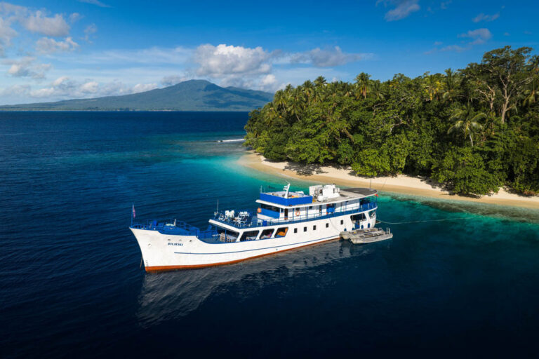 A Different Voyage: How Emperor Bilikiki Becomes a Floating Hospital