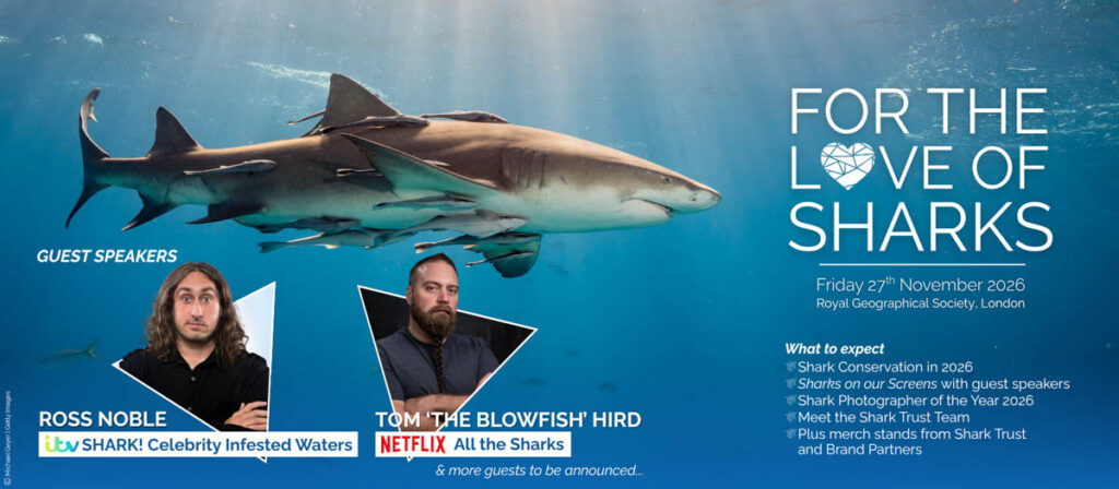 For the Love of Sharks