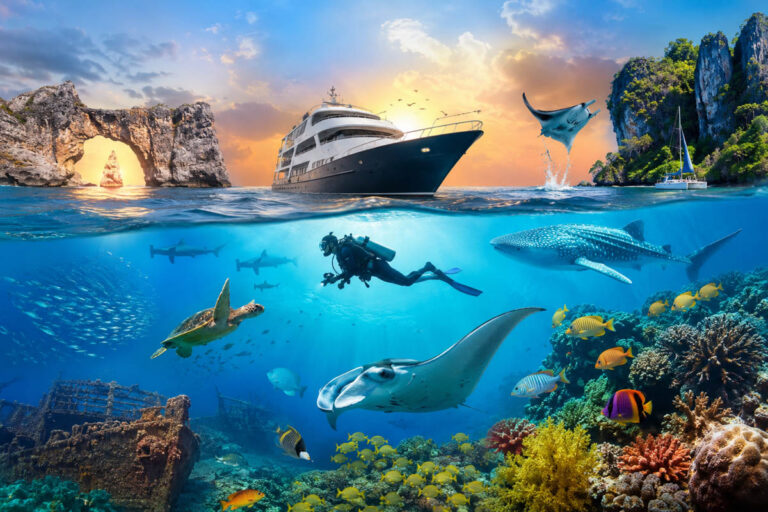 Seven Dive Adventures Worth Booking Before These Offers Expire Liveaboard Offers