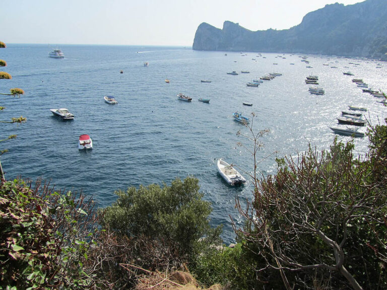 Italian Diver Dies During Dive in Punta Campanella Marine Reserve as Authorities Investigate Head Injuries Punta Campanella