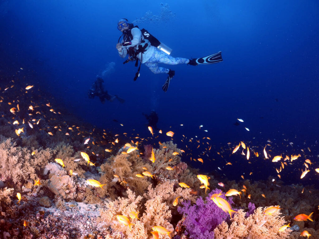 Scuba Dive Agent