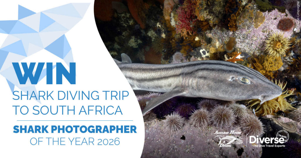 Shark Photographer of the Year 2026