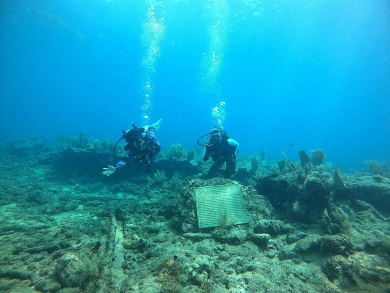How Divers Are Preserving the Hidden History of Slave Shipwrecks Slave Ships