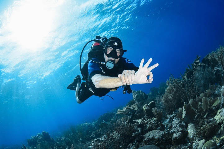 Dive Curacao