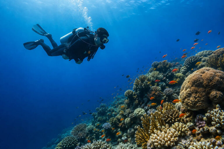 Why New Divers Should Slow Down Before Chasing the Next Certification Diver Underwater