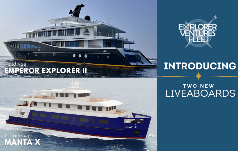 Explorer Ventures Fleet