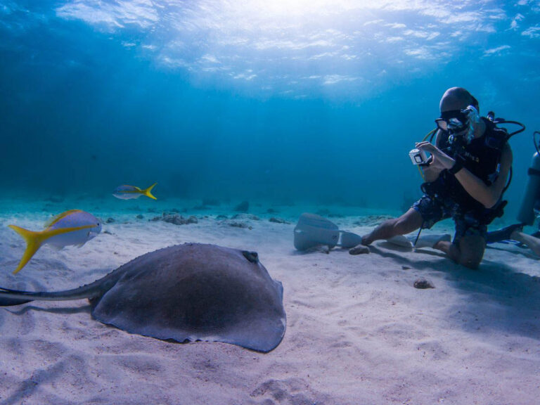 Underwater Photographer