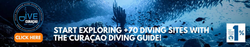 Dive Curacao Vacation