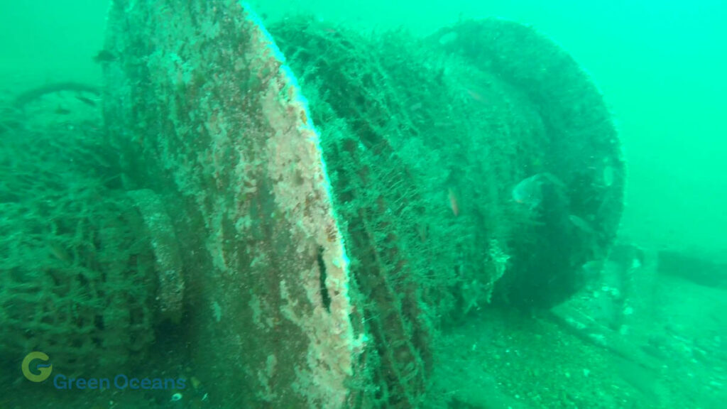 FV Mistress Discovery