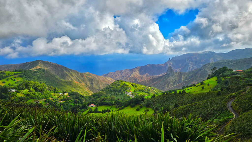 Indigo Safaris - St Helena