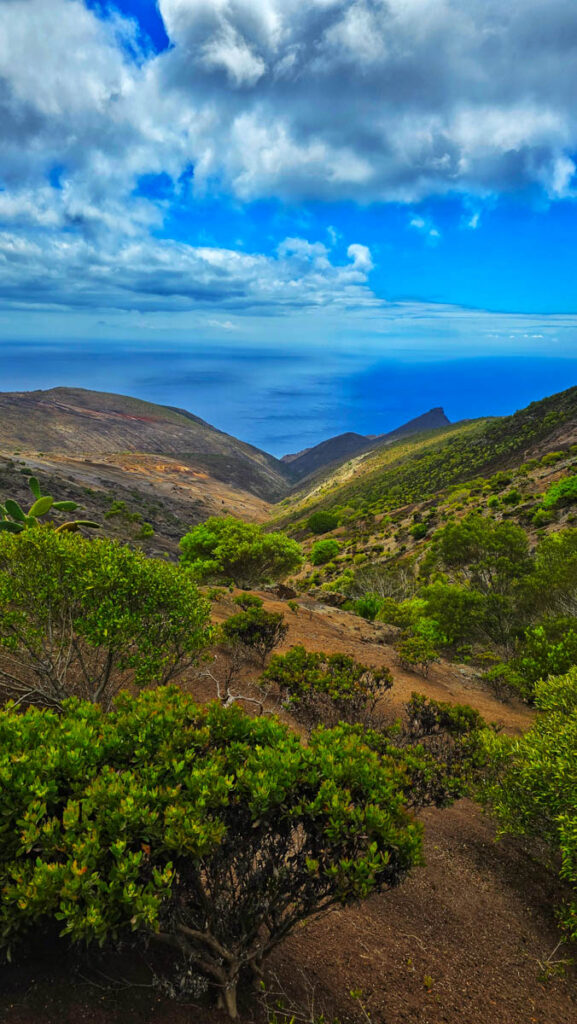 Indigo Safaris - St Helena