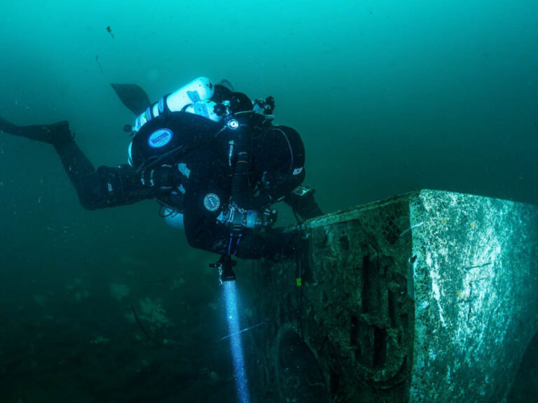 Divers Find 99% Oyster Survival on Restored North Sea Reef Project Baseline
