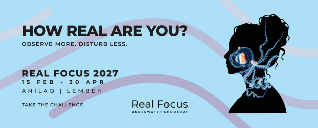 REAL Focus