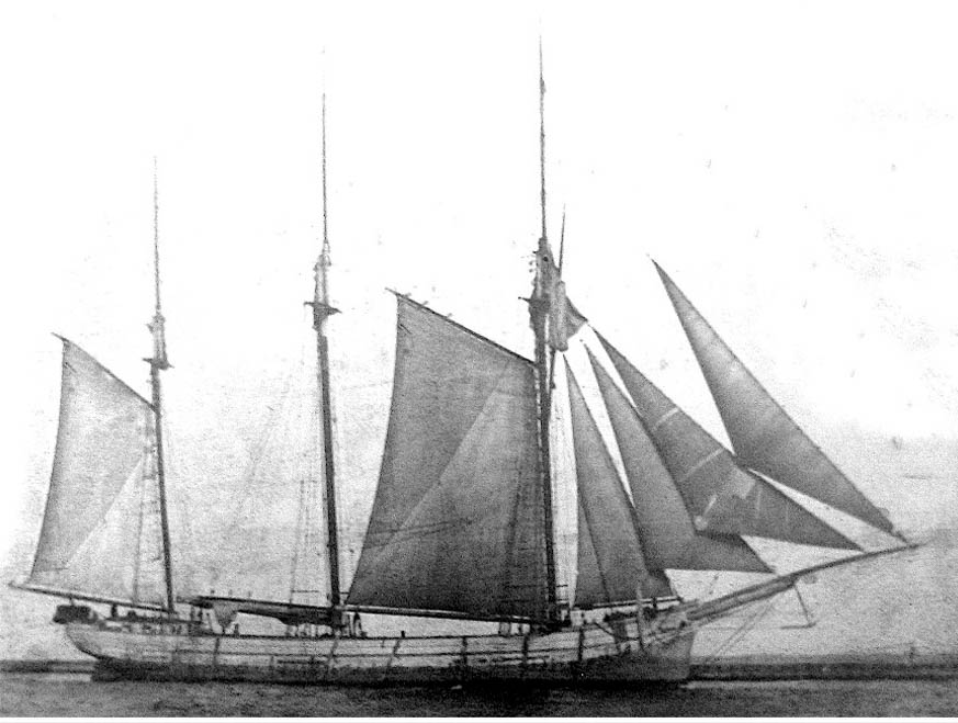 Vickery Shipwreck