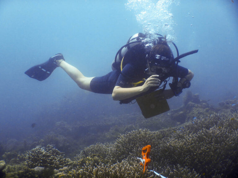 Coral Cay Conservation Legacy Finds New Home in the Philippines Ten Years After Our Visit Coral Cay