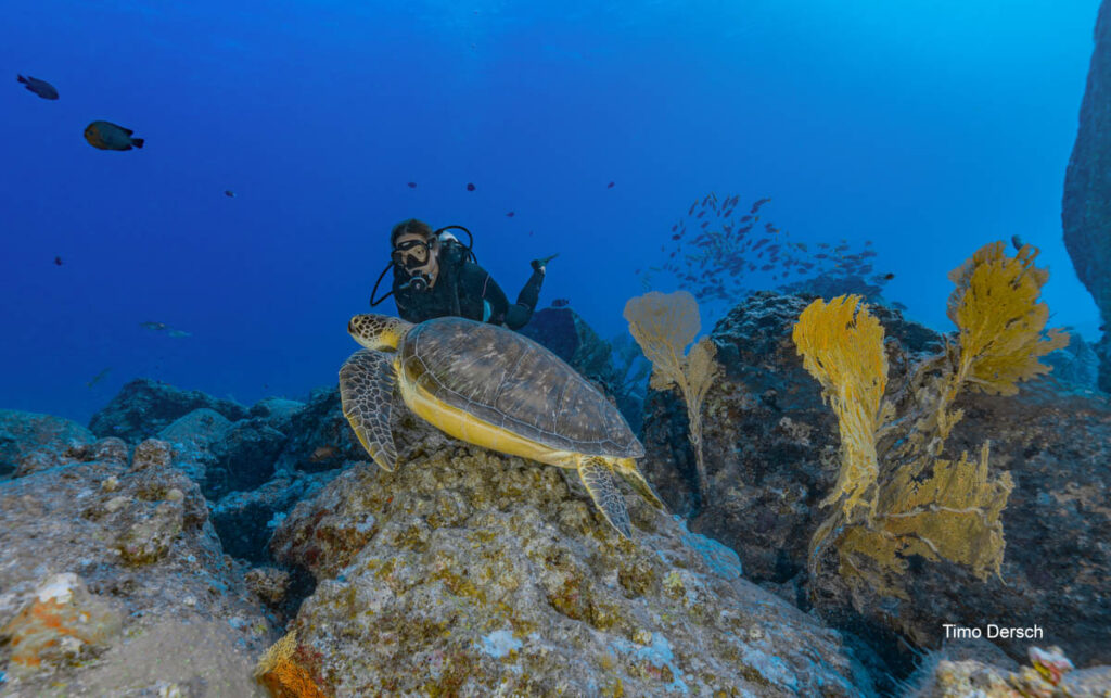 Euro-Divers Mauritius