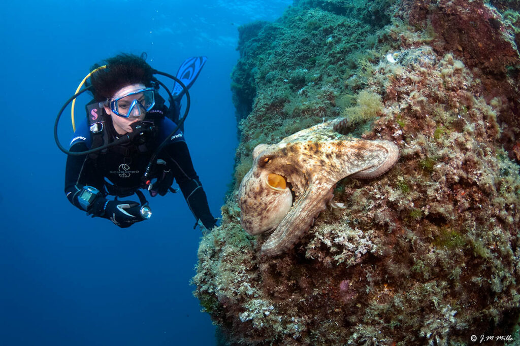 Euro-Divers Spain