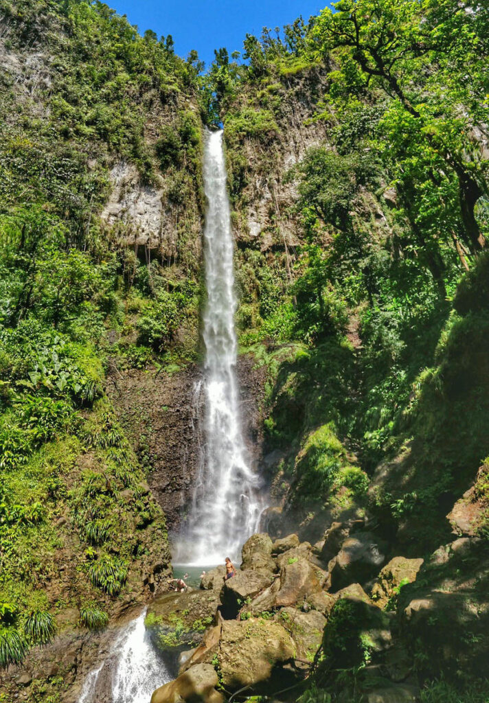 Indigo Safaris Dominica