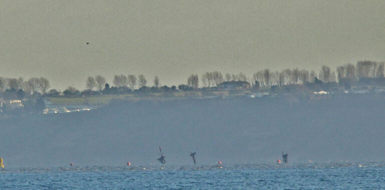 Masts of SS Richard Montgomery